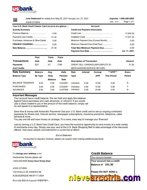 USA U.S. bank credit card statement in Excel and PDF file format